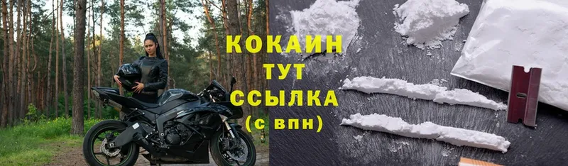 mega ссылка  закладки  Терек  COCAIN Fish Scale 